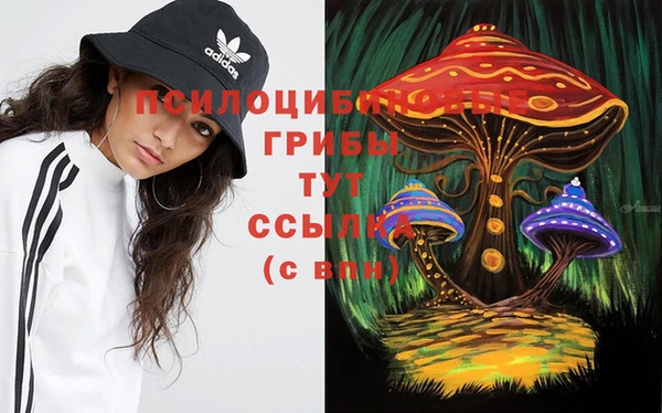 амф Алексин