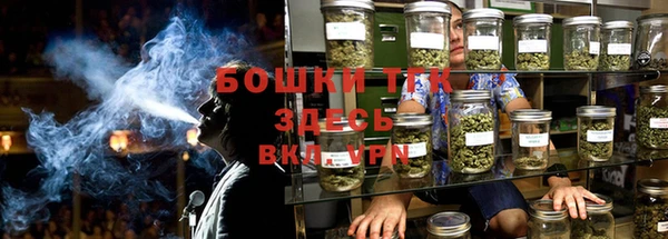 PSILOCYBIN Алексеевка