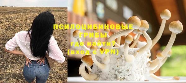 дживик Алзамай